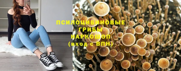 не бодяженный Алзамай