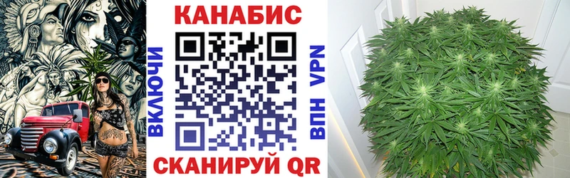 магазин продажи   Таштагол  Канабис White Widow 